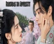 Blossoms in Adversity - Episode 19 (EngSub)