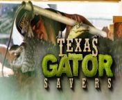 EarthX Website: https://earthxmedia.com/ &#60;br/&#62;&#60;br/&#62;Feed a gator once, and he&#39;s a permanent customer! The Gator Country team rescue a feisty alligator in an RV park and someone gets torn up. Spoiler alert: it&#39;s not the gator.&#60;br/&#62;&#60;br/&#62;About Texas Gator Savers: &#60;br/&#62;From reptiles in swimming pools to gators stranded after hurricanes, Gary Saurage and his team rescue alligators from unusual places and prepare them for life in their new home - &#92;
