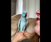 my smart Parrot doesn&#39;t allow me to rest.&#60;br/&#62;Please share this video. Check under, on the link below to subscribe into my YouTube Channel&#60;br/&#62;https://www.youtube.com/SmartestAnimals23