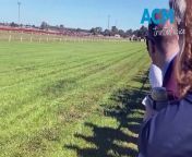 Maitimausu takes out race one at 2024 Leeton Cup from fifa cup song video
