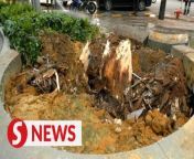 Alam Flora workers have been hard at work to clear the uprooted tree and debris along Jalan Sultan Ismail which has fully reopened to traffic.&#60;br/&#62;&#60;br/&#62;WATCH MORE: https://thestartv.com/c/news&#60;br/&#62;SUBSCRIBE: https://cutt.ly/TheStar&#60;br/&#62;LIKE: https://fb.com/TheStarOnline