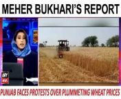 #wheatprices #PunjabGovt #pmshehbazsharif #MeherBukhari #breakingnews &#60;br/&#62;&#60;br/&#62;Farmer&#39;s Fury: Punjab Faces Protests Over Plummeting Wheat Prices &#124; Meher Bukhari&#39;s Report &#60;br/&#62;