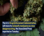 The U.S. Drug Enforcement Administration will move to reclassify marijuana as a less dangerous drug, the Associated Press reported on Tuesday early afternoon, calling it a &#92;