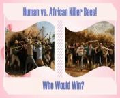 Welcome to Quiz Zone Tube Channel!&#60;br/&#62;&#60;br/&#62;Have you ever wondered who would prevail if a group of humans were to encounter a swarm of killer African honey bees?&#60;br/&#62;&#60;br/&#62;In this video, we will explore the answer to this intriguing question.&#60;br/&#62;&#60;br/&#62;We will take a look at the remarkable abilities of African honey bees and the strength of humans in facing this threat.&#60;br/&#62;&#60;br/&#62;Watch the video and discover who will emerge as the winner in this inevitable battle.&#60;br/&#62;&#60;br/&#62; today&#39;s test says:&#60;br/&#62; What if humans faced a swarm of Killer African bees.?&#60;br/&#62;&#60;br/&#62;A) Humans.&#60;br/&#62;B) Killer African bees.&#60;br/&#62;&#60;br/&#62;️ You can interact with us and answer this test through your comments, and don&#39;t forget to support us by subscribing, liking and commenting to encourage us to submit more strange tests.&#60;br/&#62;&#60;br/&#62;#Quiz_Zone_Tube&#60;br/&#62;#fighting_questions&#60;br/&#62;#funny_fight_questions&#60;br/&#62;#strange_questions_to_ask&#60;br/&#62;#strange_questions_to_ponder&#60;br/&#62;#strange_questions_and_answers