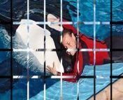 Tilikum, a captive orca at SeaWorld Orlando, killed his trainer Dawn Brancheau during a performance in February 2010.