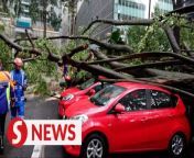 A storm has swept through the city, uprooting five trees and causing damage to a house and at least eight vehicles.&#60;br/&#62;&#60;br/&#62;Read more at https://shorturl.at/dzL69&#60;br/&#62;&#60;br/&#62;WATCH MORE: https://thestartv.com/c/news&#60;br/&#62;SUBSCRIBE: https://cutt.ly/TheStar&#60;br/&#62;LIKE: https://fb.com/TheStarOnline