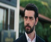 WILL BARAN AND DILAN, WHO SEPARATED WAYS, RECONTINUE?&#60;br/&#62;&#60;br/&#62; Dilan and Baran&#39;s forced marriage due to blood feud turned into a true love over time.&#60;br/&#62;ac&#60;br/&#62; On that dark day, when they crowned their marriage on paper with a real wedding, the brutal attack on the mansion separates Baran and Dilan from each other again. Dilan has been missing for three months. Going crazy with anger, Baran rouses the entire tribe to find his wife. Baran Agha sends his men everywhere and vows to find whoever took the woman he loves and make them pay the price. But this time, he faces a very powerful and unexpected enemy. A greater test than they have ever experienced awaits Dilan and Baran in this great war they will fight to reunite. What secrets will Sabiha Emiroğlu, who kidnapped Dilan, enter into the lives of the duo and how will these secrets affect Dilan and Baran? Will the bad guys or Dilan and Baran&#39;s love win?&#60;br/&#62;&#60;br/&#62;Production: Unik Film / Rains Pictures&#60;br/&#62;Director: Ömer Baykul, Halil İbrahim Ünal&#60;br/&#62;&#60;br/&#62;Cast:&#60;br/&#62;&#60;br/&#62;Barış Baktaş - Baran Karabey&#60;br/&#62;Yağmur Yüksel - Dilan Karabey&#60;br/&#62;Nalan Örgüt - Azade Karabey&#60;br/&#62;Erol Yavan - Kudret Karabey&#60;br/&#62;Yılmaz Ulutaş - Hasan Karabey&#60;br/&#62;Göksel Kayahan - Cihan Karabey&#60;br/&#62;Gökhan Gürdeyiş - Fırat Karabey&#60;br/&#62;Nazan Bayazıt - Sabiha Emiroğlu&#60;br/&#62;Dilan Düzgüner - Havin Yıldırım&#60;br/&#62;Ekrem Aral Tuna - Cevdet Demir&#60;br/&#62;Dilek Güler - Cevriye Demir&#60;br/&#62;Ekrem Aral Tuna - Cevdet Demir&#60;br/&#62;Buse Bedir - Gül Soysal&#60;br/&#62;Nuray Şerefoğlu - Kader Soysal&#60;br/&#62;Oğuz Okul - Seyis Ahmet&#60;br/&#62;Alp İlkman - Cevahir&#60;br/&#62;Hacı Bayram Dalkılıç - Şair&#60;br/&#62;Mertcan Öztürk - Harun&#60;br/&#62;&#60;br/&#62;#vendetta #kançiçekleri #bloodflowers #urdudubbed #baran #dilan #DilanBaran #kanal7 #barışbaktaş #yagmuryuksel #kancicekleri #episode158