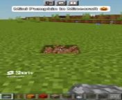 how to build mini pumpkin in Minecraft from gallina pintadita mini 3
