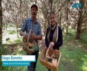 Diego Bonetto shows us which mushrooms you can pick this season.