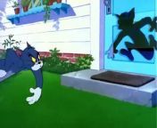 Tom And Jerry - The Dog House