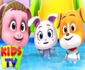 Welcome to Kids TV, where the warmth of childhood meets the joy of learning through fun nursery rhymes and toddler songs! &#60;br/&#62;.&#60;br/&#62;.&#60;br/&#62;.&#60;br/&#62;.&#60;br/&#62;.&#60;br/&#62;.&#60;br/&#62;#nurseryrhymes #babysongs #kidstv #kidsentertainment #childrenschannel #toddlerlife #familyfun #learningisfun #educationaltoys #parentinghacks #childhoodunplugged #kidfriendly #learningathome #creativekids #parenthood #playtime #kidsactivities