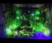 World&#39;s First Waterless Acquarium, Berjaya Times Square Theme Park - Kuala Lumpur, Malaysia&#60;br/&#62;This is a worthwhile visit as the fish and sea creatures look beautiful at this place.Tickets are cheap. Recommended for tourists.&#60;br/&#62;